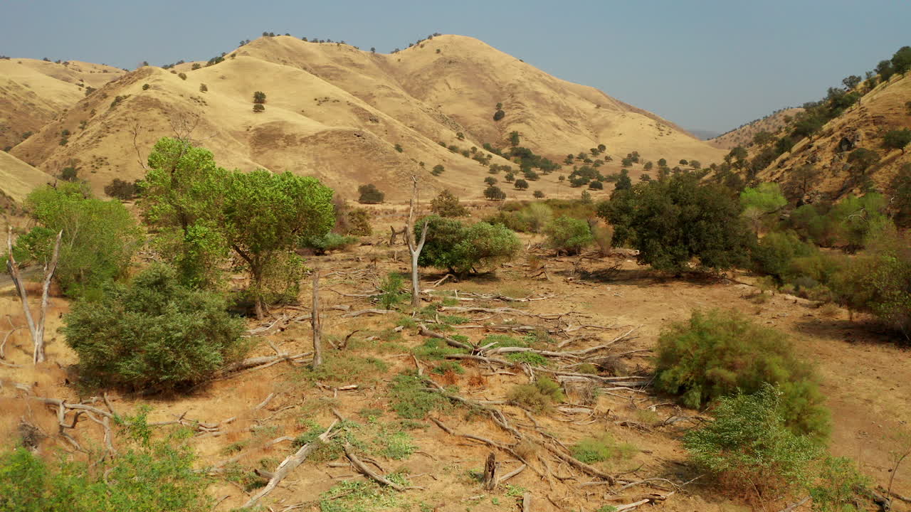 árboles y pastizales secos en el paisaje del sur de california con un camión conduciendo por el valle - vista aérea