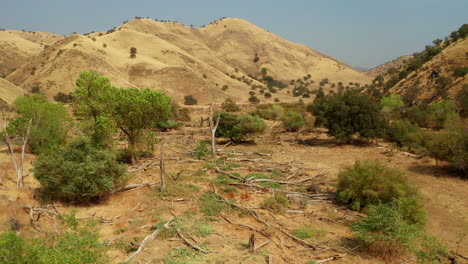 Trees-and-dry-grasslands-in-the-southern-California-landscape-with-a-truck-driving-through-the-valley---aerial-view