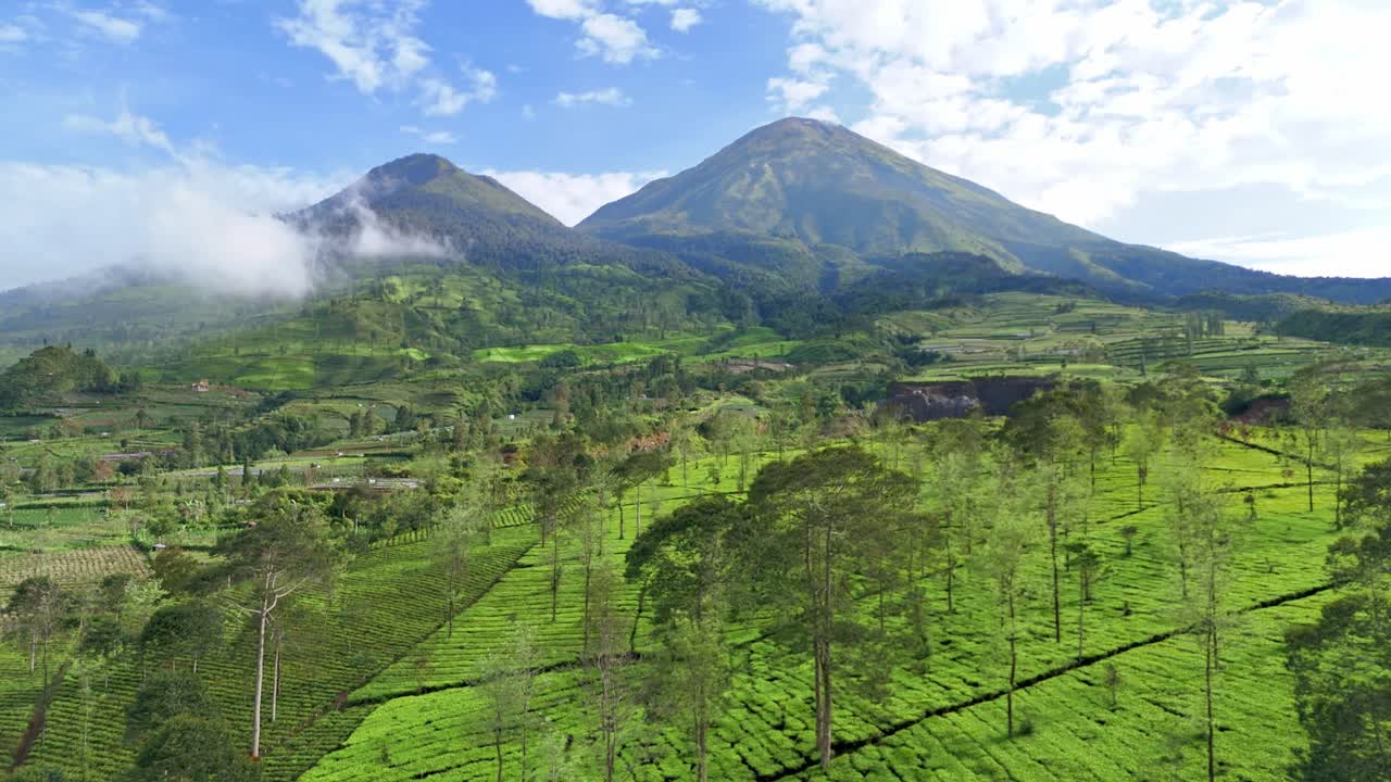 Aerial shot of tea plantations on terraced hills with mountain scenery and soft clouds drifting above. Peaceful view of rural nature and sustainable farming. Bedakah Tea Plantation, Indonesia