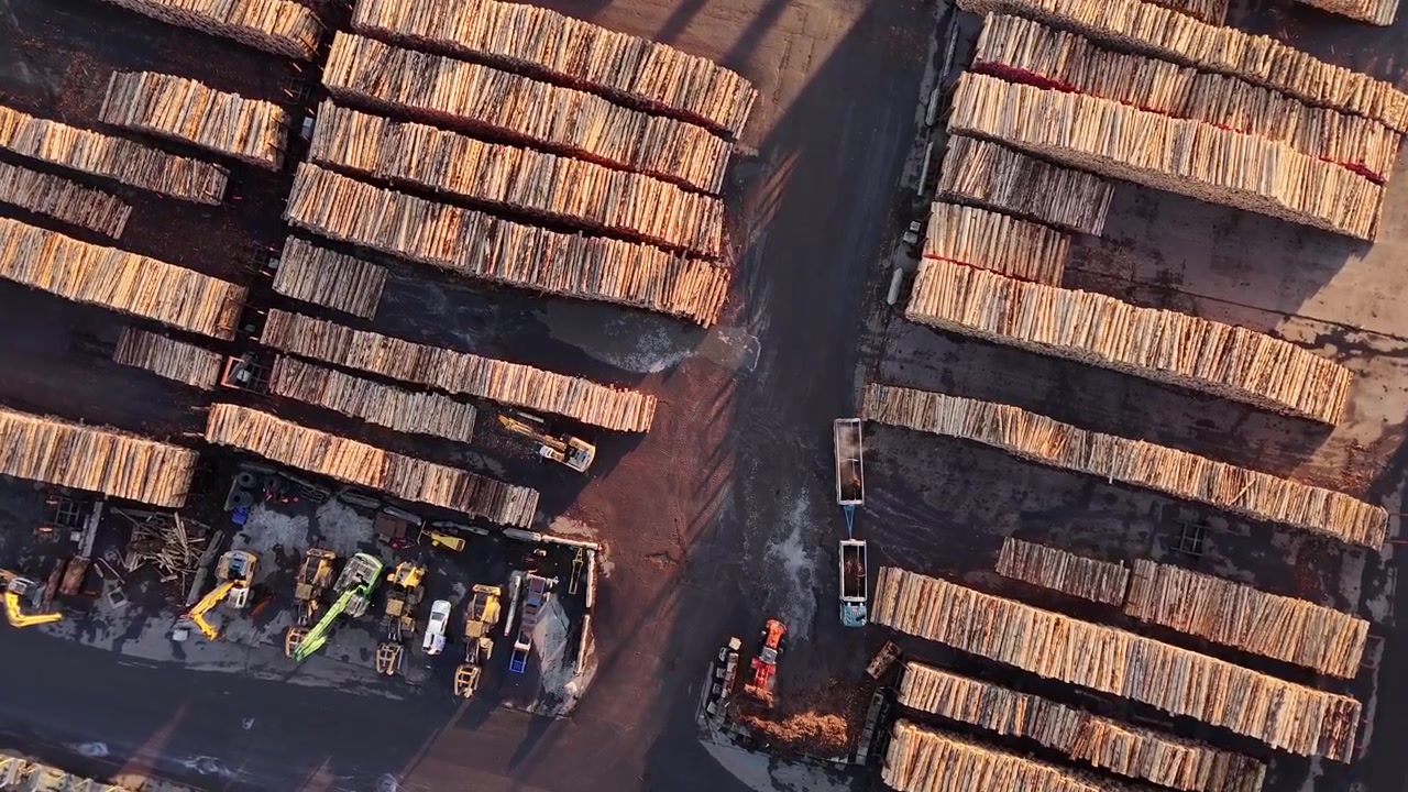 A top down aerial drone shot capturing the raw industrial scale of a timber logging yard at CentrePort Wellington, New Zealand.