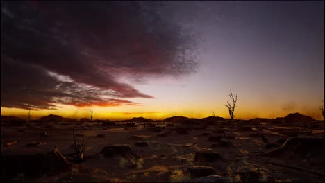 tree stumps left after deforestation, sunset time