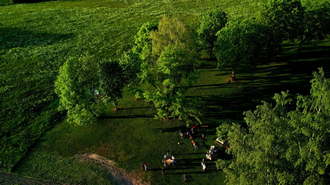 drones orbitan por encima de amigos pasando el rato y haciendo picnic en el parque