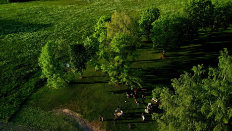 Drone-orbits-above-friends-hanging-out-and-picnicking-at-park