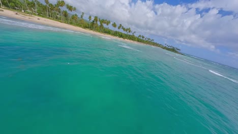 speed fpv flight over turquoise caribbean sea, sandy beach, palm trees during sunny day in dominican republic