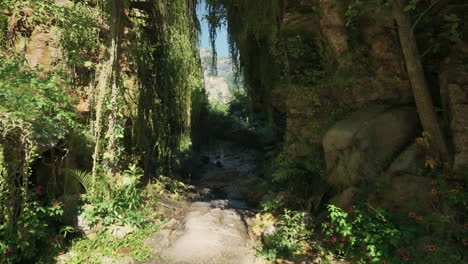 jungle path through ancient ruins