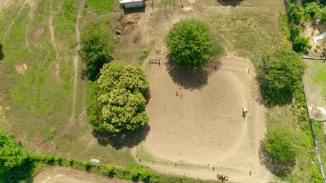 raining-Hobby-During-the-Holidays-Horseback-Riding-at-the-Farm-Equestrian-Club-A-Young-Family-Rides