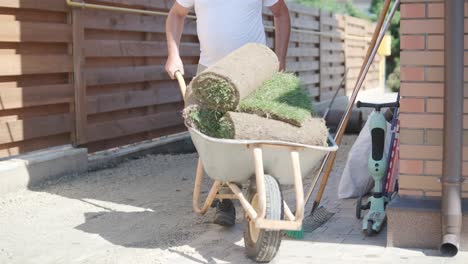 gardener laying a roll of natural lawn turf