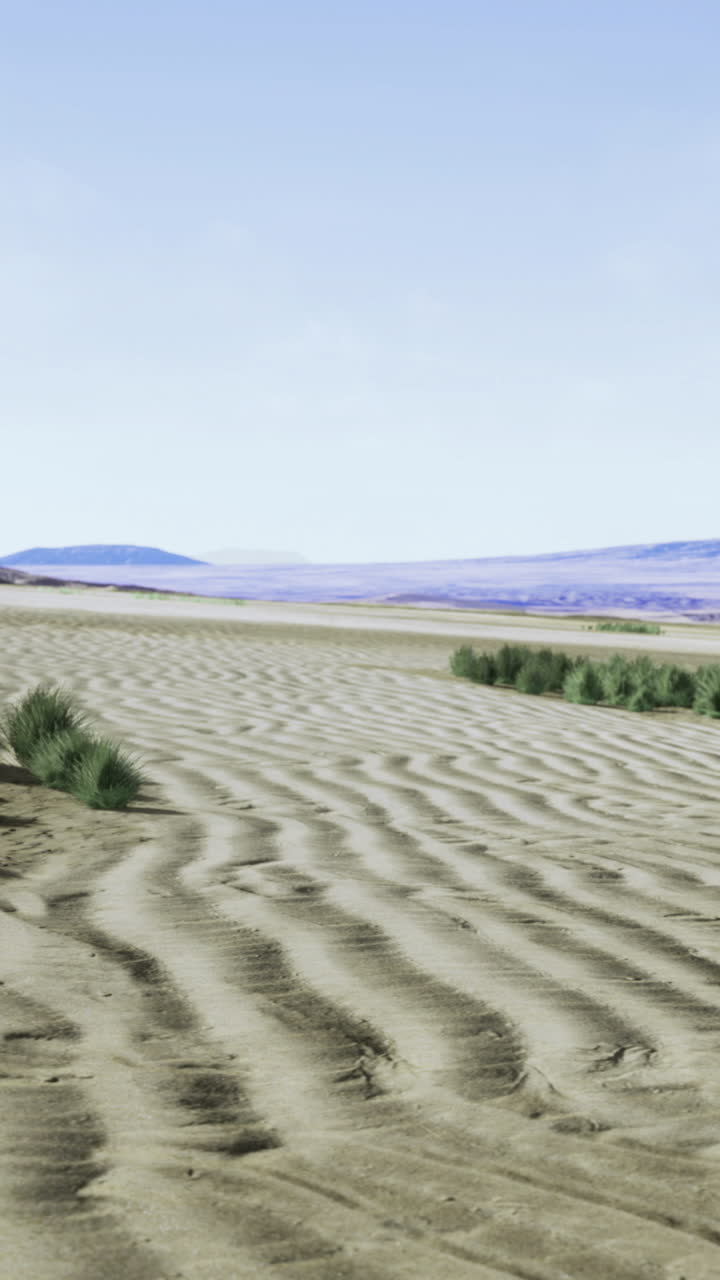 Desert landscape showcasing sand patterns and lush vegetation under clear skies