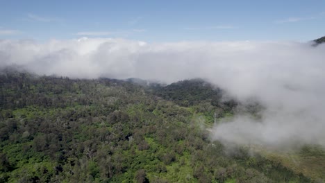 Imágenes-Aéreas-Sobre-Los-árboles-Cubiertos-De-Niebla-En-La-Naturaleza-Del-Bosque-De-Montaña.