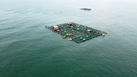 aquaculture industry in vietnam, large fishing farm floating on sea, aerial view