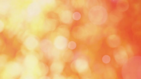 Pink background and moving pink bokeh image