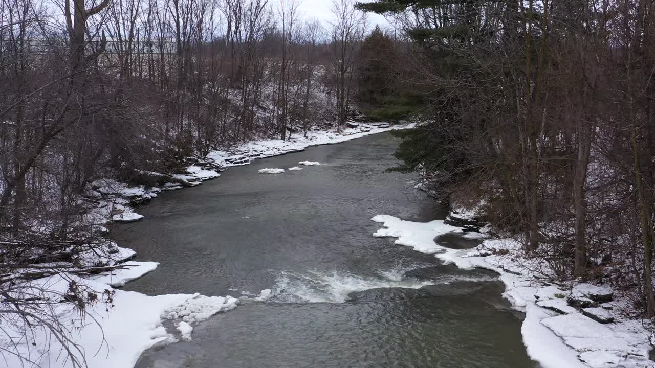río helado de invierno entre el primer plano del bosque a lo largo del agua