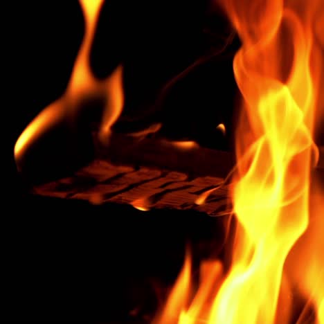 burning wood. burning fire in a home fireplace. slow motion