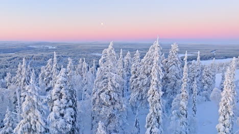 drone flying over frosty forest toward the moon