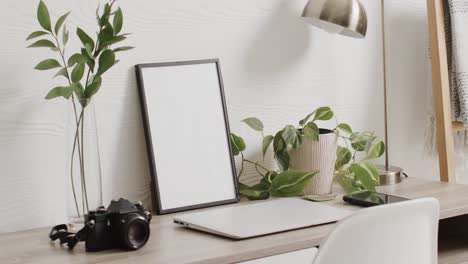 black frame with copy space on white background with plants on desk against white wall