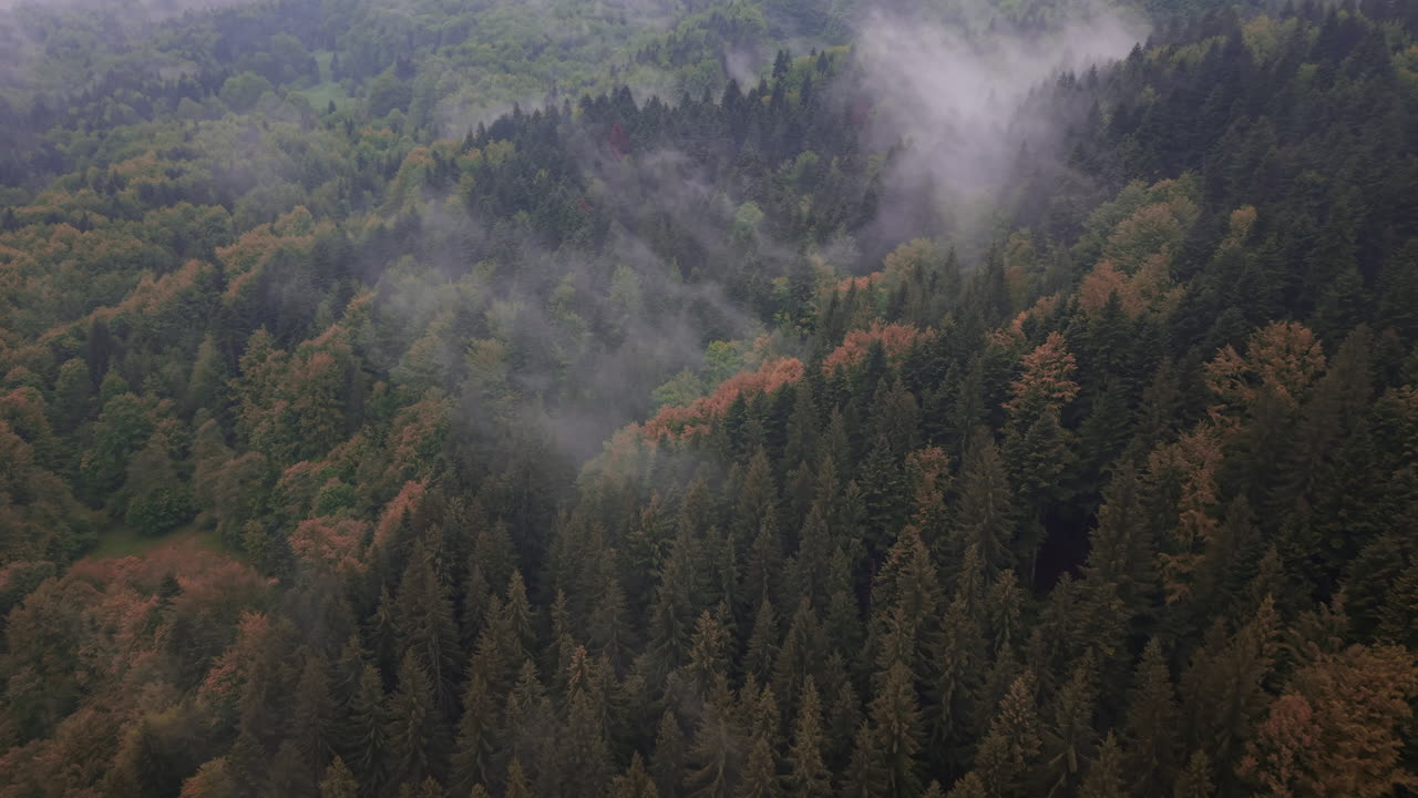 Fantastiche vedute aeree di maestose foreste avvolte dalle nuvole in Romania, piene di colori autunnali