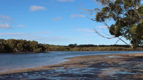 Moona-Moona-creek-in-Huskisson-Beach-Australia-shores-on-a-calm-afternoon,-Locked-shot