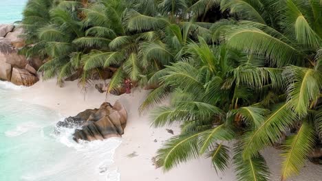 Aerial-view-of-rocks-and-palms,-Seychelles