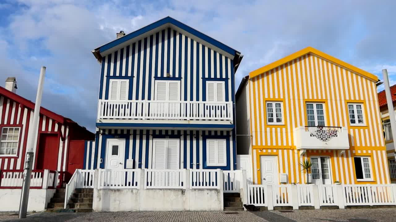 gato paseando frente a las casas de colores en costa nova, portugal