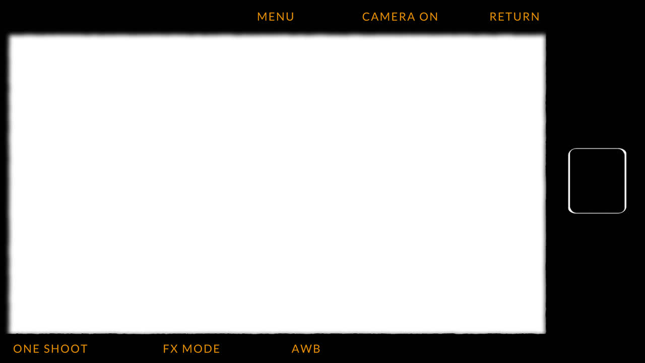 Digital Camera Viewfinder Screen with White Display and UI Elements