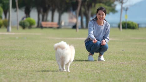 woman and dog