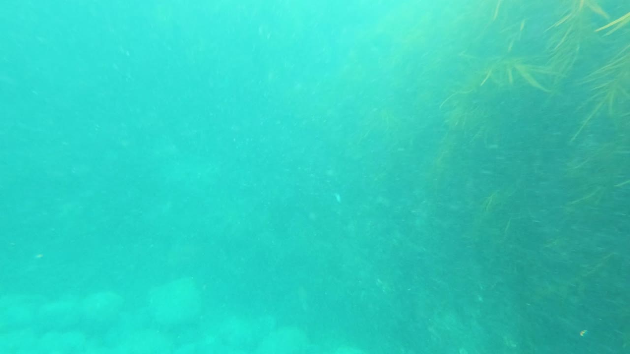 un punto de vista en cámara lenta saltando y zambulléndose en el agua verde oscuro del océano frente a la costa sur de australia