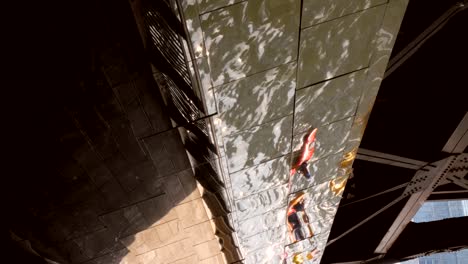 reflections of the chicago river