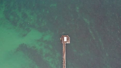 vertical static drone view of the end of the point lonsdale pier, victoria, australia