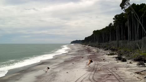 Puro-Paisaje-Salvaje-De-Nueva-Zelanda,-Naturaleza-De-La-Costa-Oeste