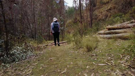 low-angle shot of a woman trekking from inkilltambo to qhapaq ñan and rumiwasi. follow shot on trek near cusco, peru