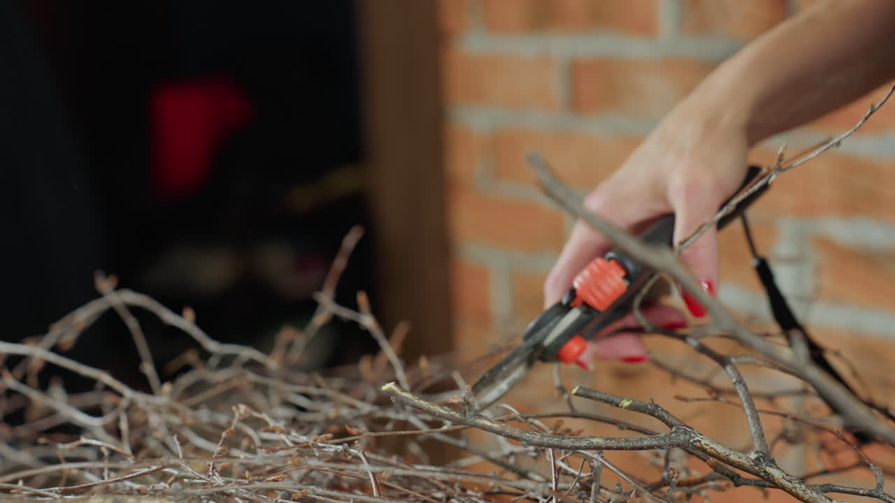 Closeup of female hands with red manicure using pruning shears to cut dry branches during craft project, showing detailed action of trimming twigs for rustic handmade decoration in creative workspace