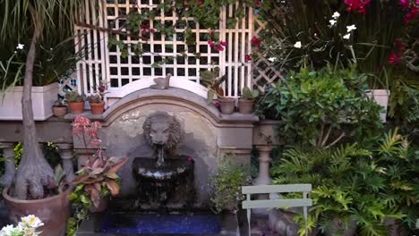 shot of fountain inside a hotel in an old house in the roma neighborhood of mexico city