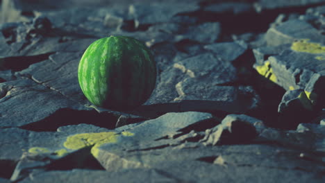 bayas de frutas de sandía en piedras rocosas