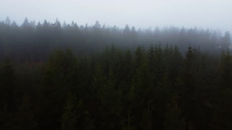 A-drone-flies-over-treetops-surrounded-by-mist-in-Belgium