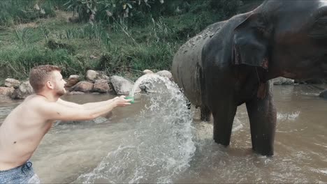 turista masculino lavando un gran elefante asiático en un río en tailandia