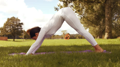 bruneta haciendo yoga en el parque.