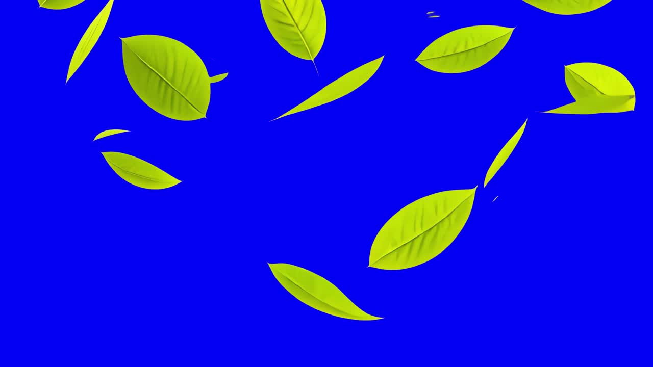 Falling green leaves animation, transparent 4K video, green screen