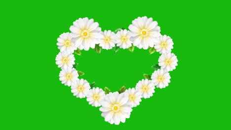 white flower heart on green background