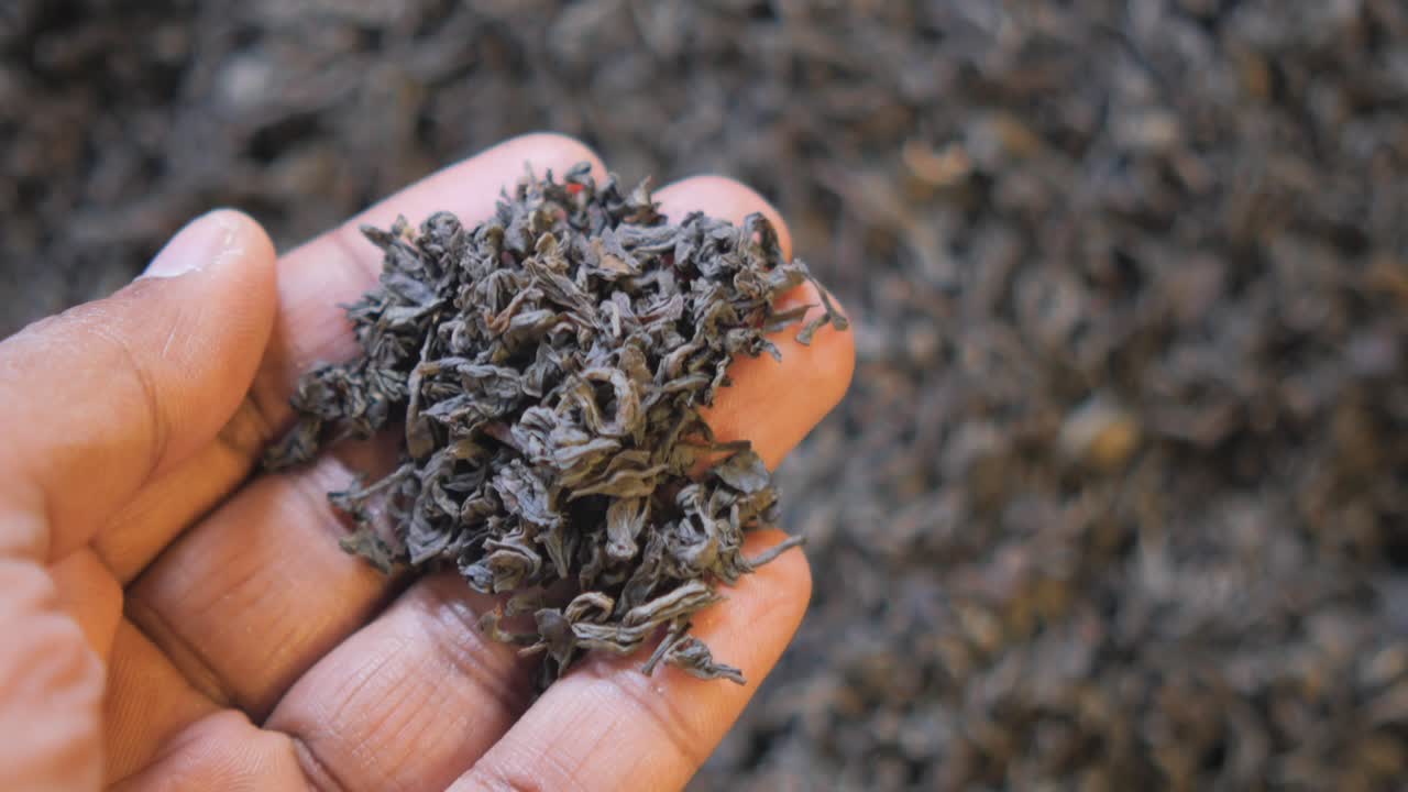 Handful of Black Tea Leaves
