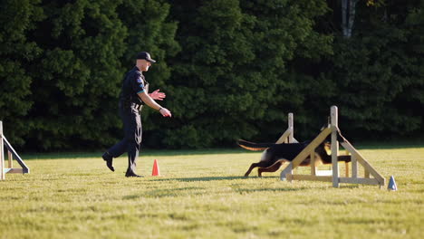 police k9 training session