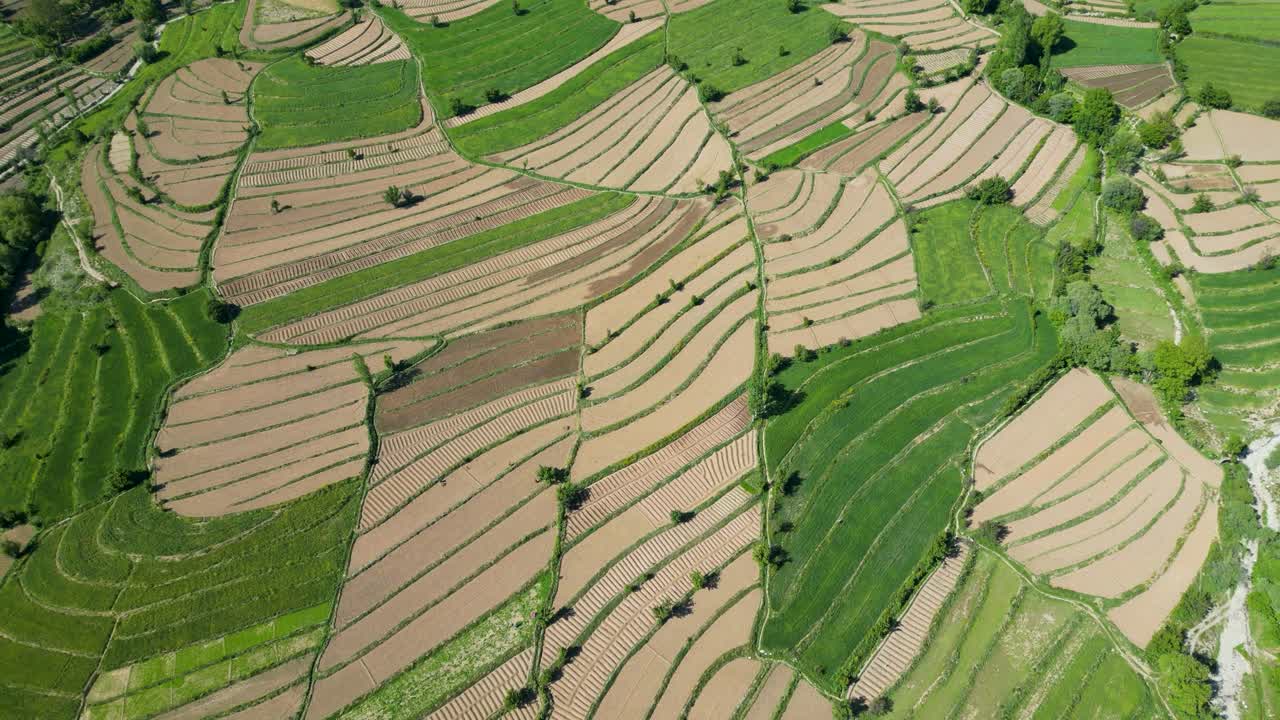 impresionantes vistas aéreas de los campos agrícolas