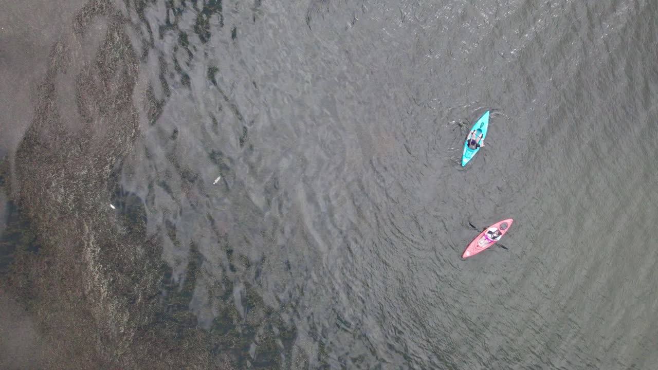 vista aérea de pájaro sobre los turistas en kayak en el lago durante el día