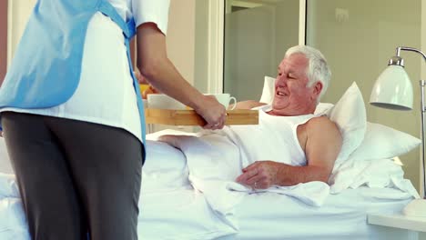 nurse giving tray with breakfast at senior man