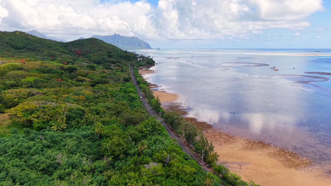 Coastal road along a lush forest and shallow bay in Oahu Hawaii, Aerial