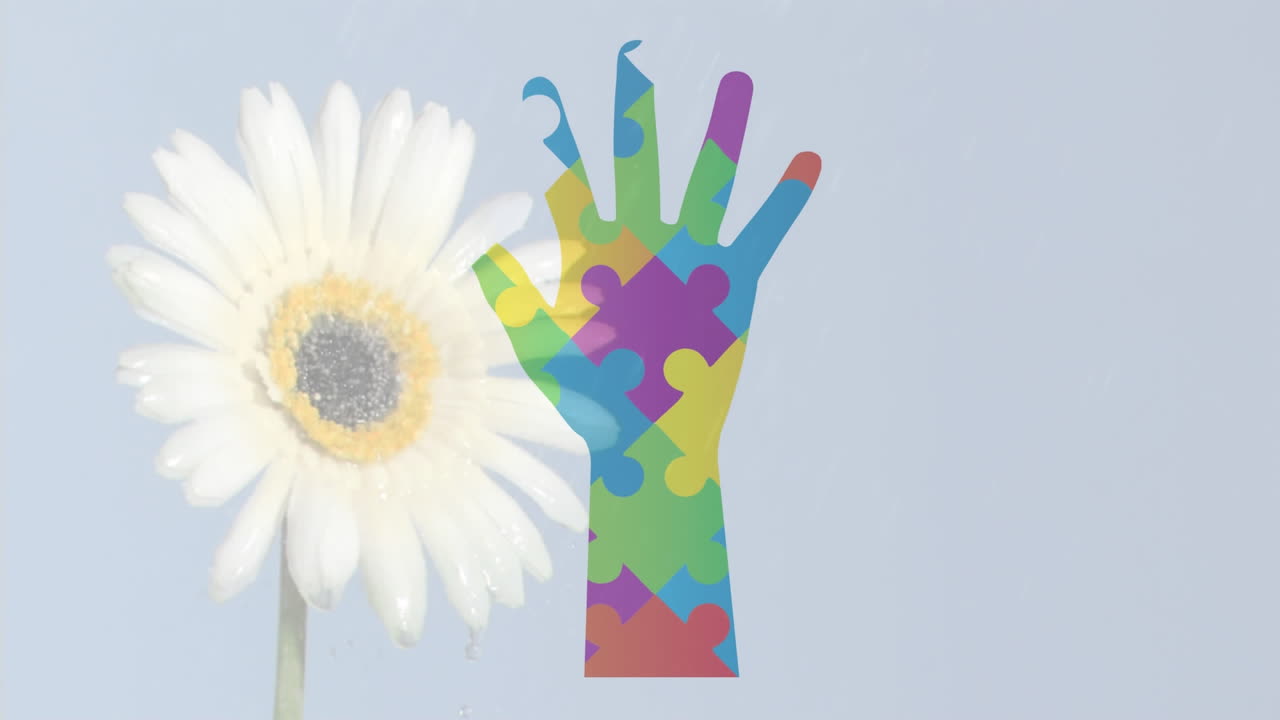 자폐증 인식 애니메이션 비디오