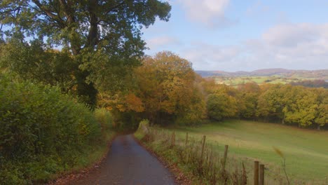 Autumnal-leaves-blowing-into-the-road