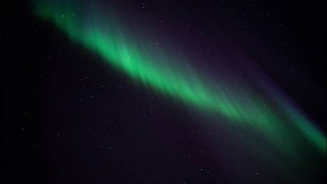 aurora borealis in real time in sky, scandinavia, norway