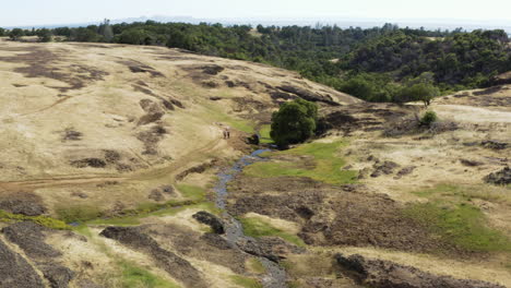 Hiking-Group-Explores-Natural-Grasslands-on-Trail-Around-Oroville,-California