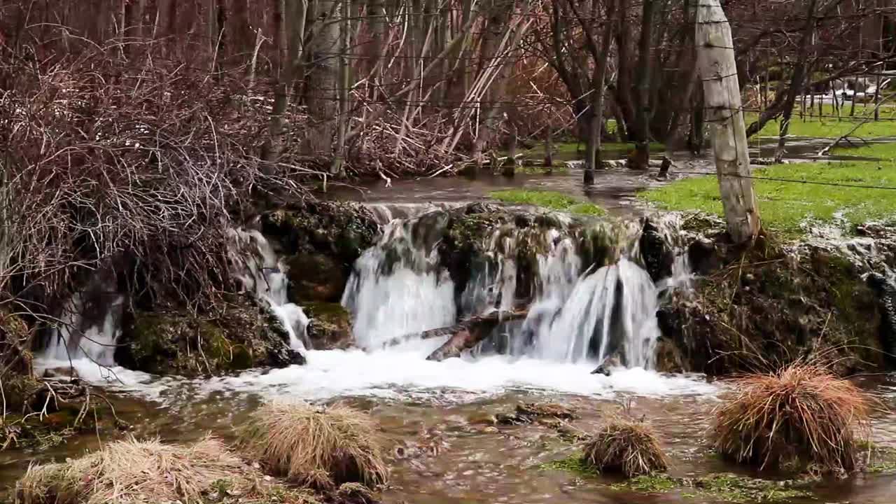 Small waterfall on a Spring creek meandering through the forest in the foothills region of southwestern Alberta