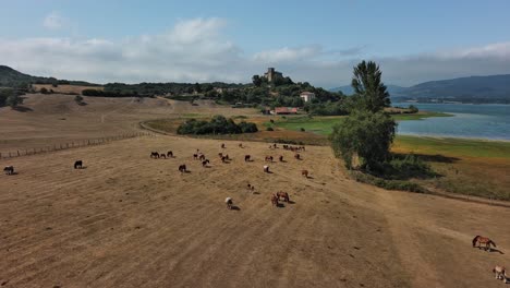 Caballos-Pastando-Cerca-De-Nanclares-De-Gamboa,-País-Vasco,-Con-Fondo-De-Castillo,-Durante-El-Día,-Vista-Aérea